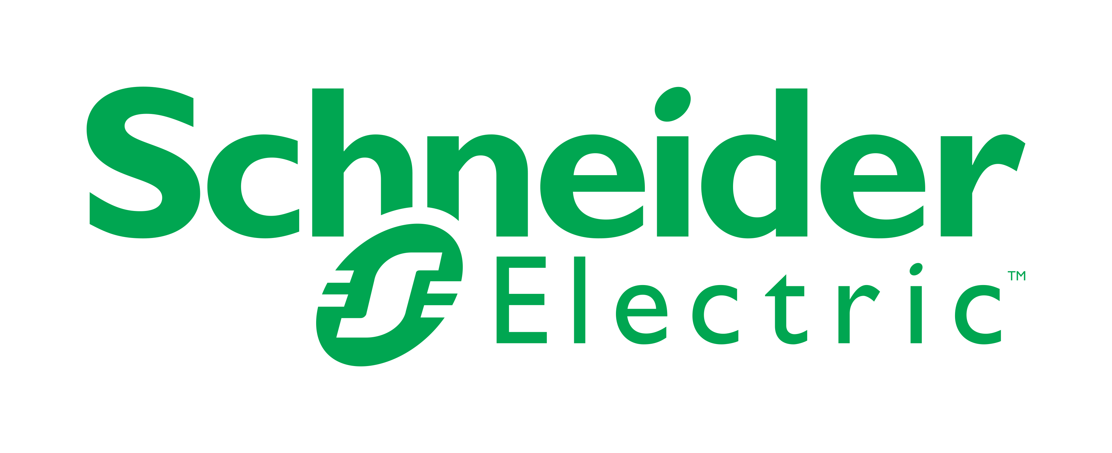 Schneider Electric Logo