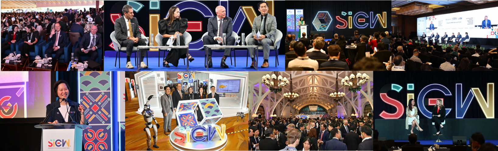 soew2025-collage.png